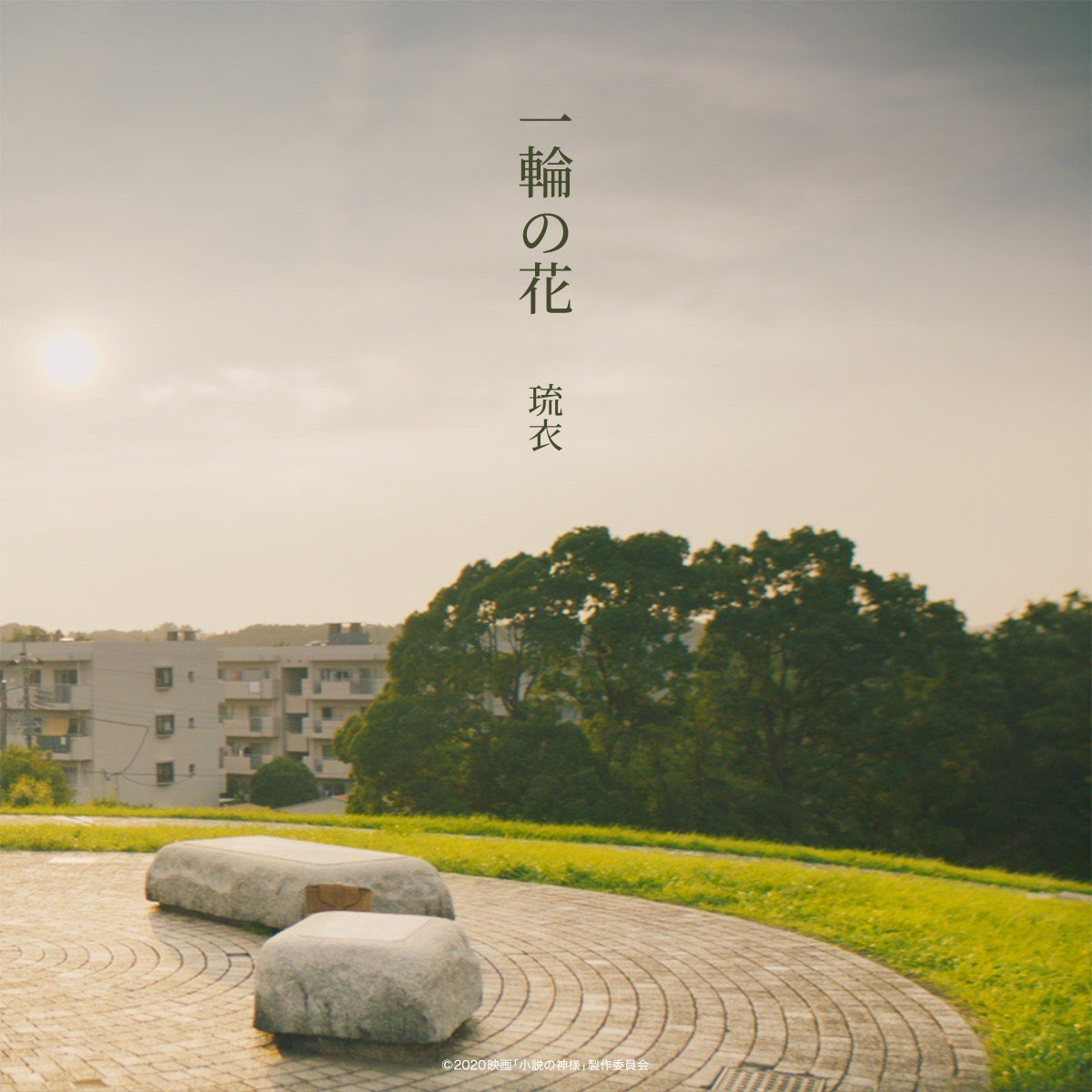 琉衣「一輪の花」(2020-09-25 Digital Single) | LDH Records OFFICIAL